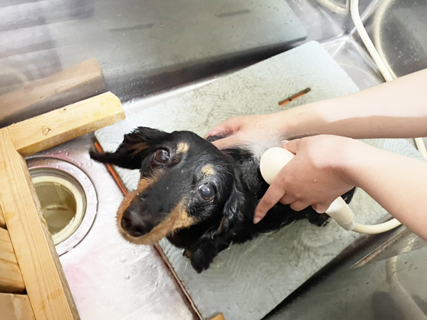 卒業生懇談会に来てくれた先輩♪～磯崎さん～